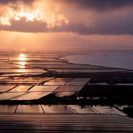 Entrellacunes Poblenou del Delta Zewnętrze zdjęcie